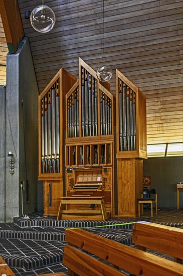 The organ