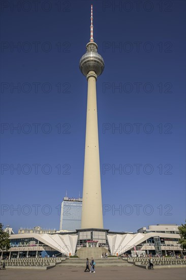 TV Tower