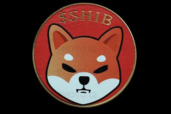 Shiba Inu cryptocurrency coin