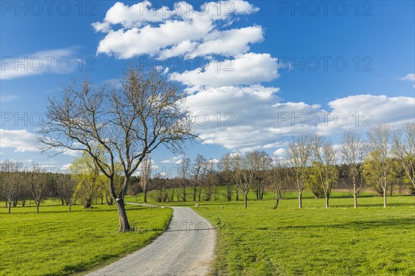 Path between fields