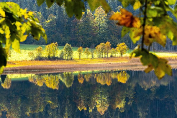 Autumn atmosphere at the Weitsee