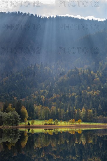 Autumn atmosphere at the Weitsee