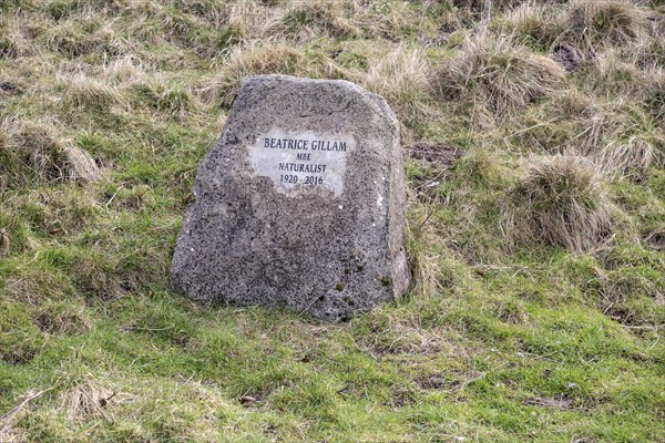 Memorial stone to naturalist Beatrice Gillam 1920-2016