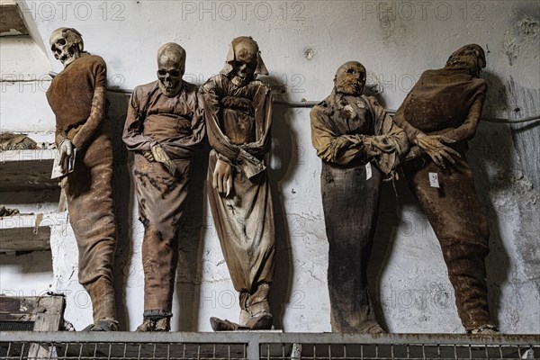 Mummies in the Capuchin Catacombs