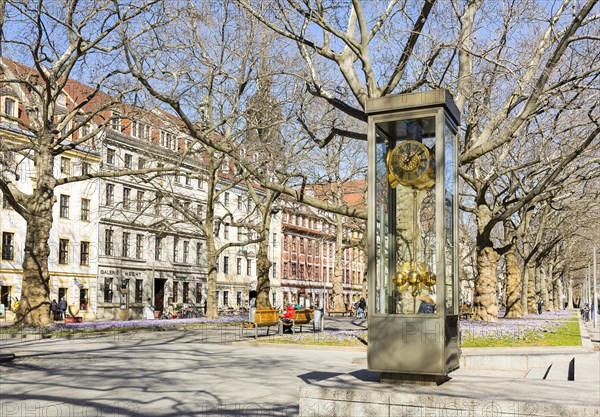 Grandfather clock and flowering crocus meadows on the main street