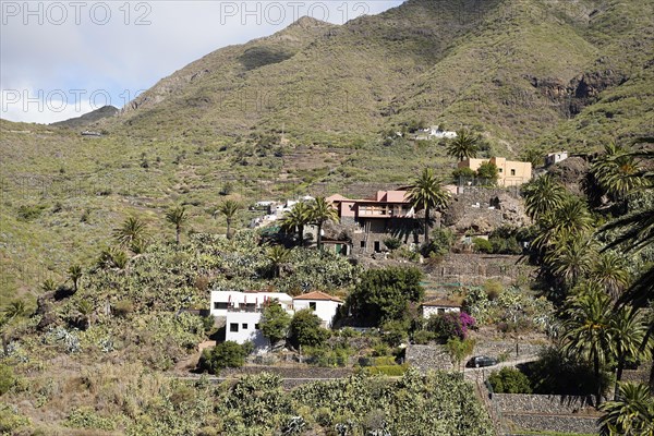 Mountain Village Masca In the Teno Mountains