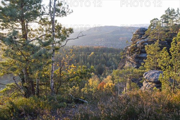 Rocks and autumnal mixed forest on the Pfaffenstein