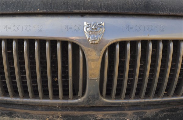 Car radiator grille with Jaguar head and logo