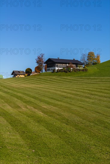 Alpine pasture and mown meadow
