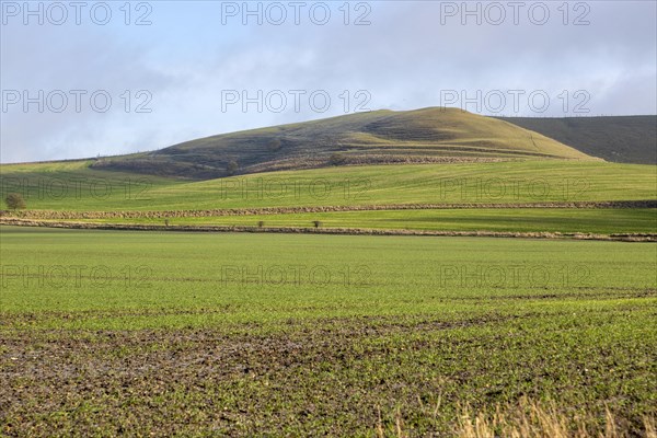 Winter fields chalk scarp slope