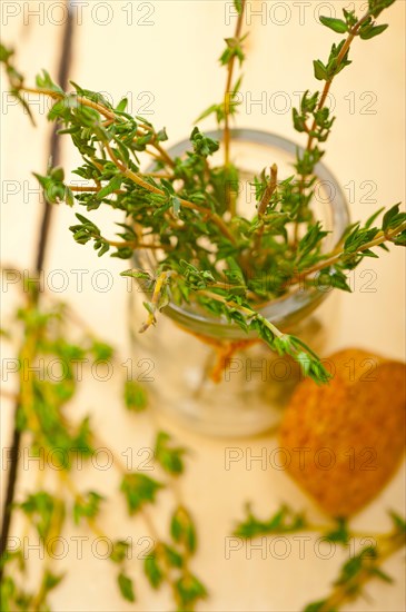 Fresh thyme on a glass jar over a white wood rustic table