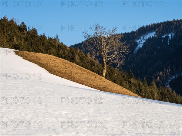 Blue sky over winter landscape