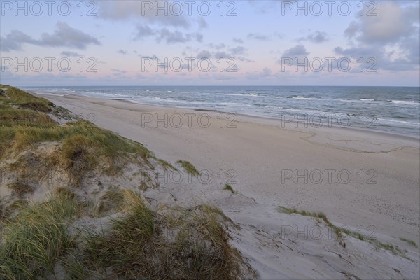 Dune landscape with the north sea in the morning