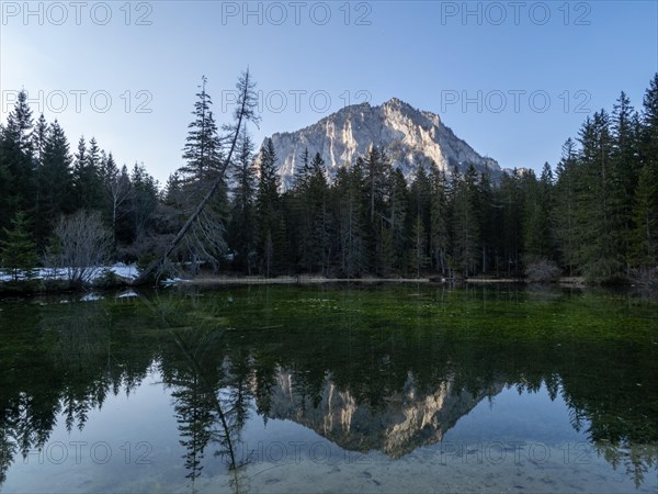 Mountains reflected in the Pfarrerteich