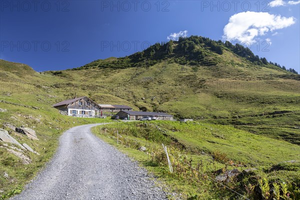 View of the Portlakopf from Alpe Porla