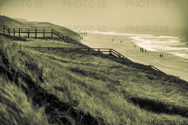 Footbridge with walker in dune landscape