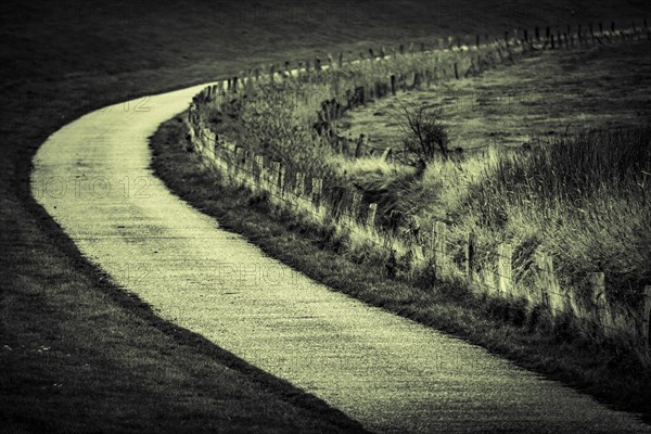 Dune path on the North Sea coast