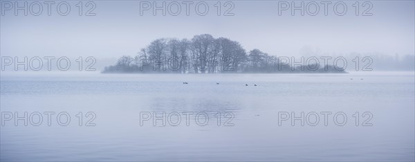 Island in Schaalsee in the morning mist