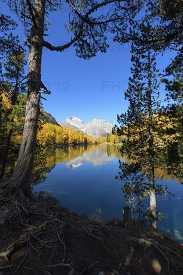 Mountain lake with larch trees in autumn