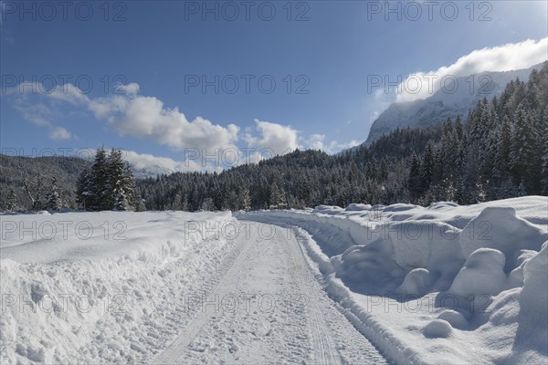 Path in winter