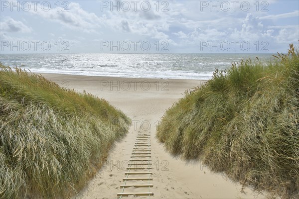 Dune landscape with sandy footpath to the sea in summer