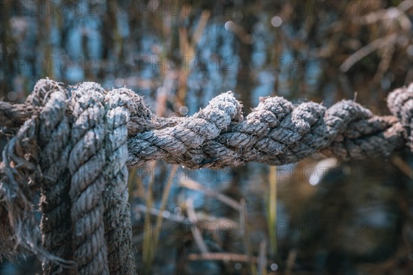 An old grey jute rope exposed to the weather