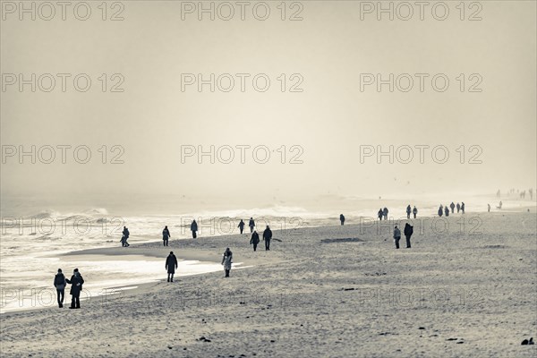 Walkers on the North Sea coast