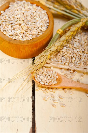 Organic barley grains over rustic wood table macro closeup