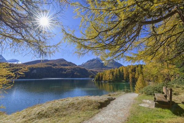 Path with bench and colorful larch trees and sun in autumn