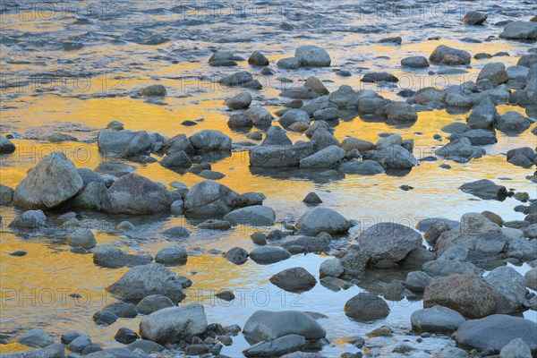 Stones on mountain stream with reflecting larches in the water