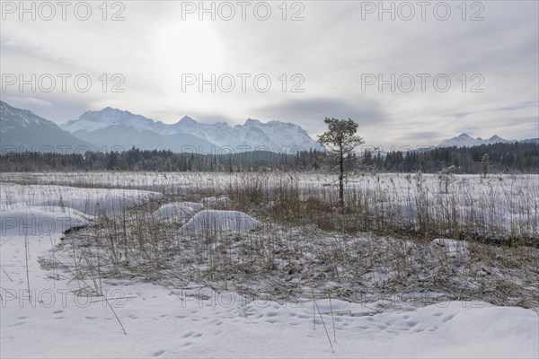 Lake Barmsee with Karwendel mountainrange on morning in winter