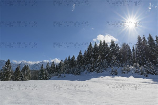 Winter landscape with sun