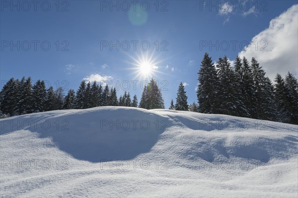 Winter landscape with sun