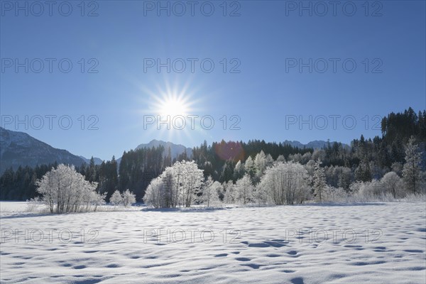 Winter landscape with sun near lake Barmsee