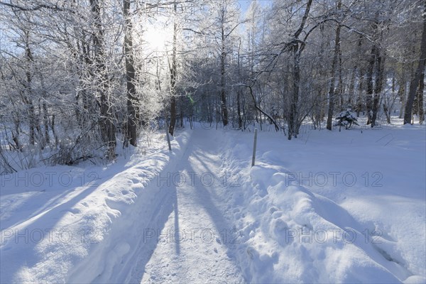 Path in winter landscape near lake Barmsee with sun