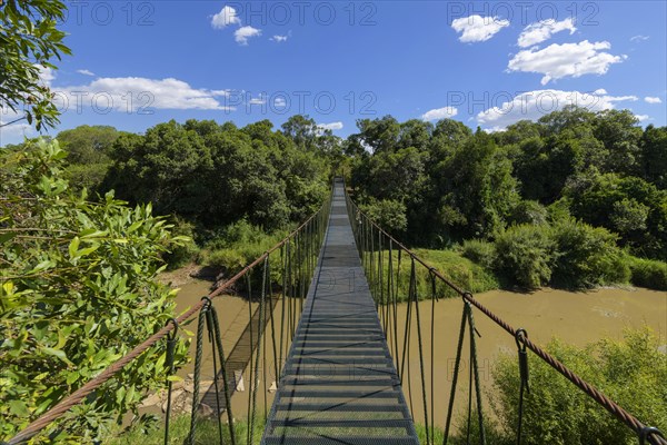 Suspension bridge