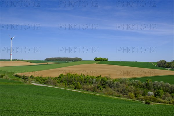 Fields with wind turbine at Klosterberg