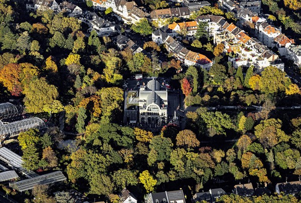 Cologne Flora