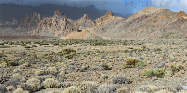 Llano de Ucanca