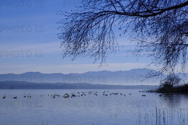 Lake Starnberg