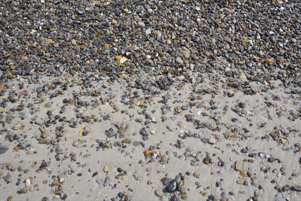 Sandy beach with pebble