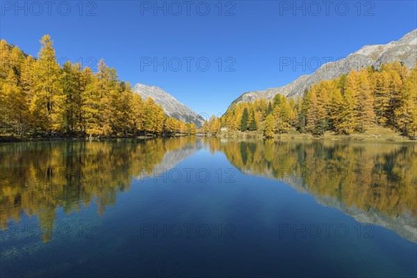 Mountain lake with larch trees in autumn