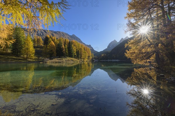 Mountain lake with larch trees in autumn