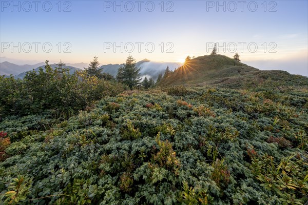 Summit cross in the morning light on Portlakopf