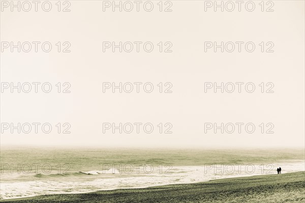 Walkers on the North Sea coast