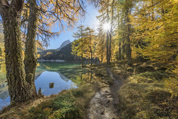 Mountain lake with larch trees in autumn