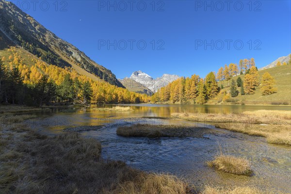 Mountain lake with larch trees in autumn