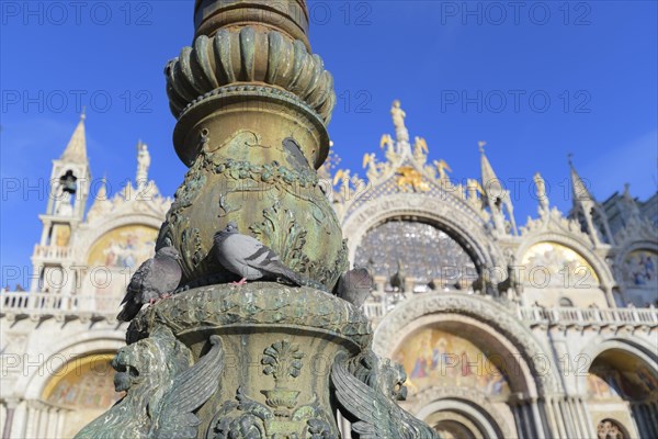 Pigeon on lantern in front of Basilica of San Marco