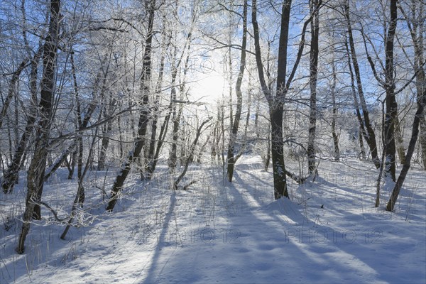 Winter landscape with sun near lake Barmsee