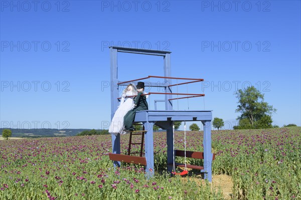 Opium poppy field with big chair and bridal couple dolls